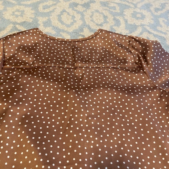 Abercrombie and Fitch Brown Blouse - Picture 9 of 13